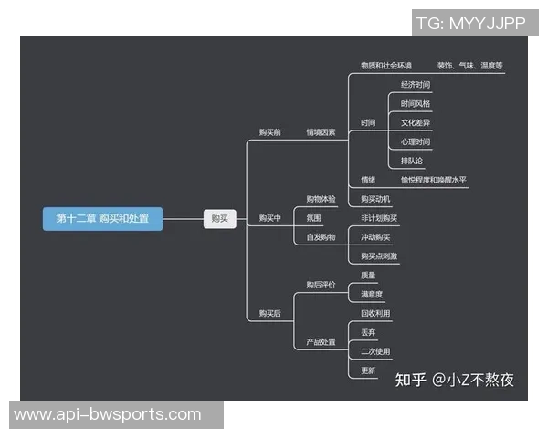 足球衣市场价格分析及其对消费者购买行为的影响探讨